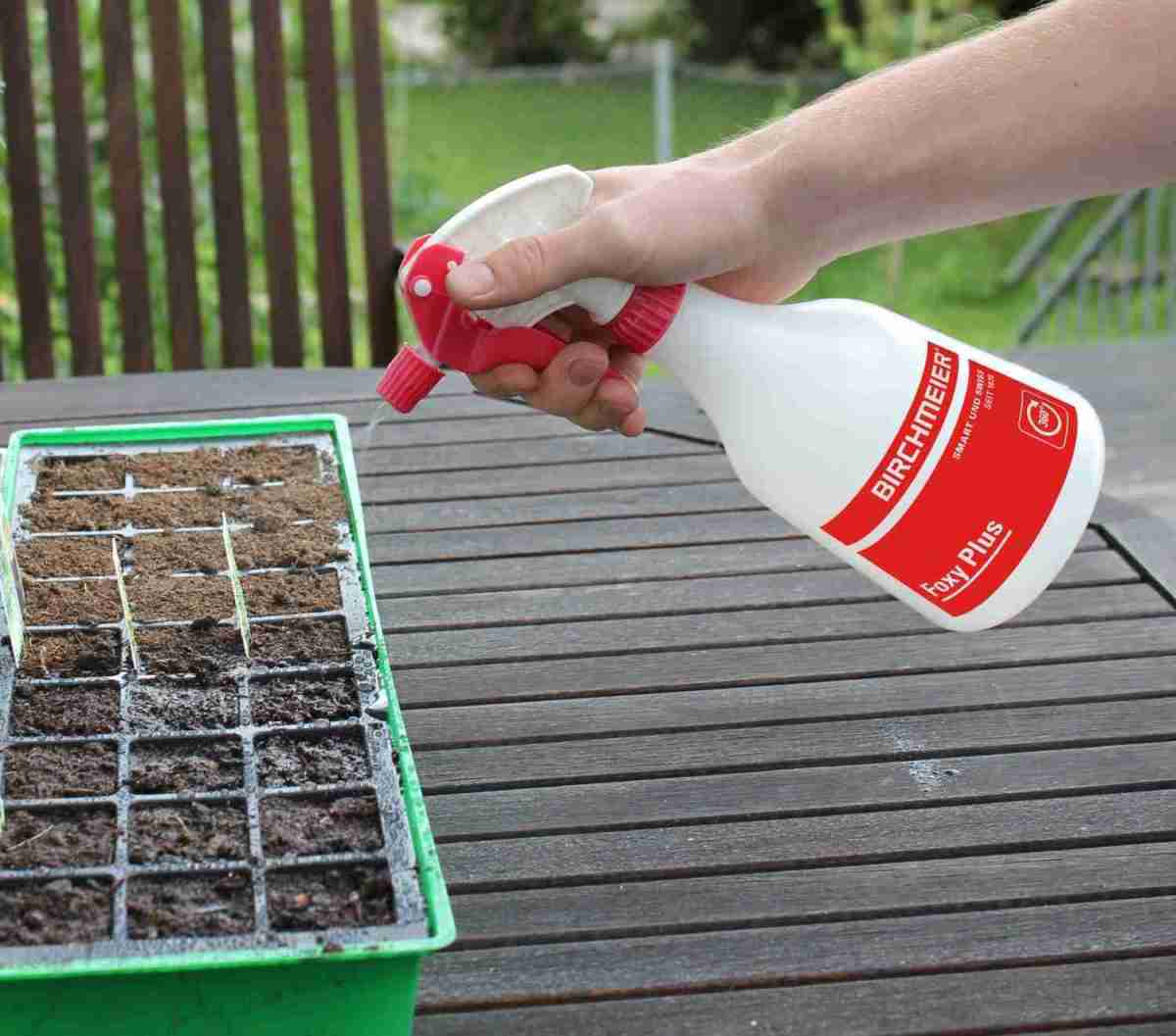 Garten Setzlinge richtig pflegen mit Produkten der Birchmeier Sprühtechnik AG - News, Bild 1