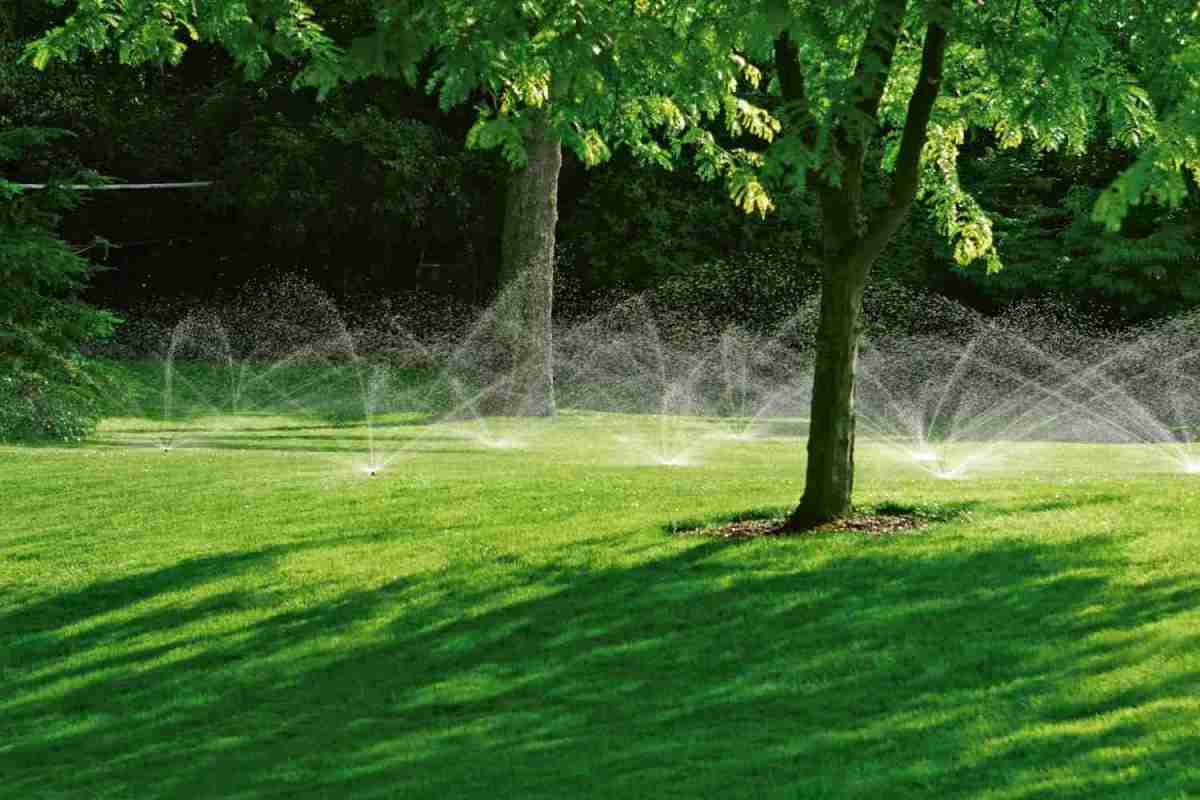 Garten Entlastung für den Hobbygärtner - Automatische Beregnungsanlage von Rainpro bewässert den Rasen effizient - News, Bild 1