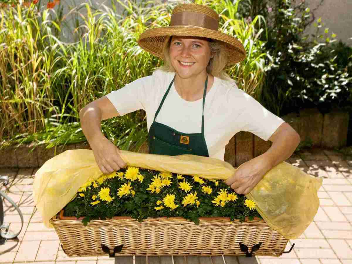Garten Wirksamer Schutz für Blumenkästen mit den Polybeuteln von Planto - News, Bild 1