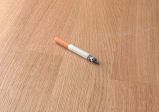 Test Bodenbeläge-Holz-Parkett - Meisterwerke Schulte Tritec 2.5 Trend