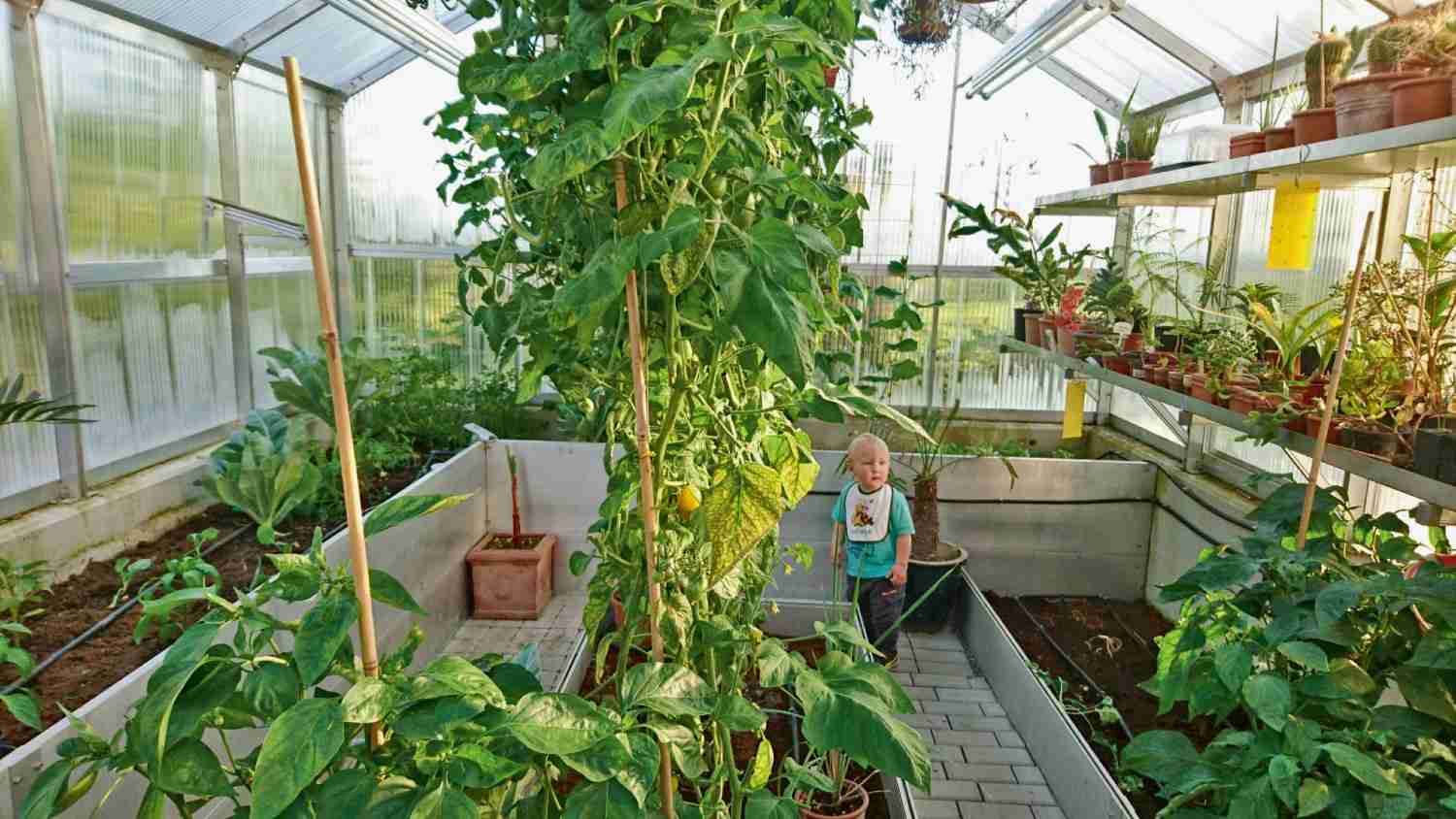 Arbeitsschutz Blumenpracht das ganze Jahr über – Sommerliche Vorsorge für den gelungenen „Winterschlaf“, Bild 1 Arbeitsschutz Blumenpracht das ganze Jahr über – Sommerliche Vorsorge für den gelungenen „Winterschlaf“ - News, Bild 1
