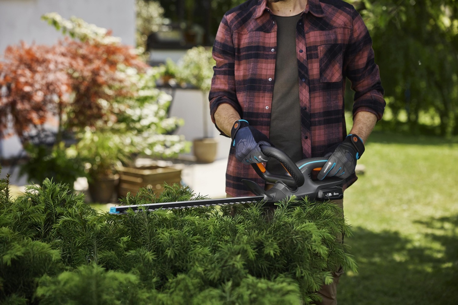 Garten Gehölze richtig zurückschneiden: So startet der Garten gesund in die nächste Saison - News, Bild 2