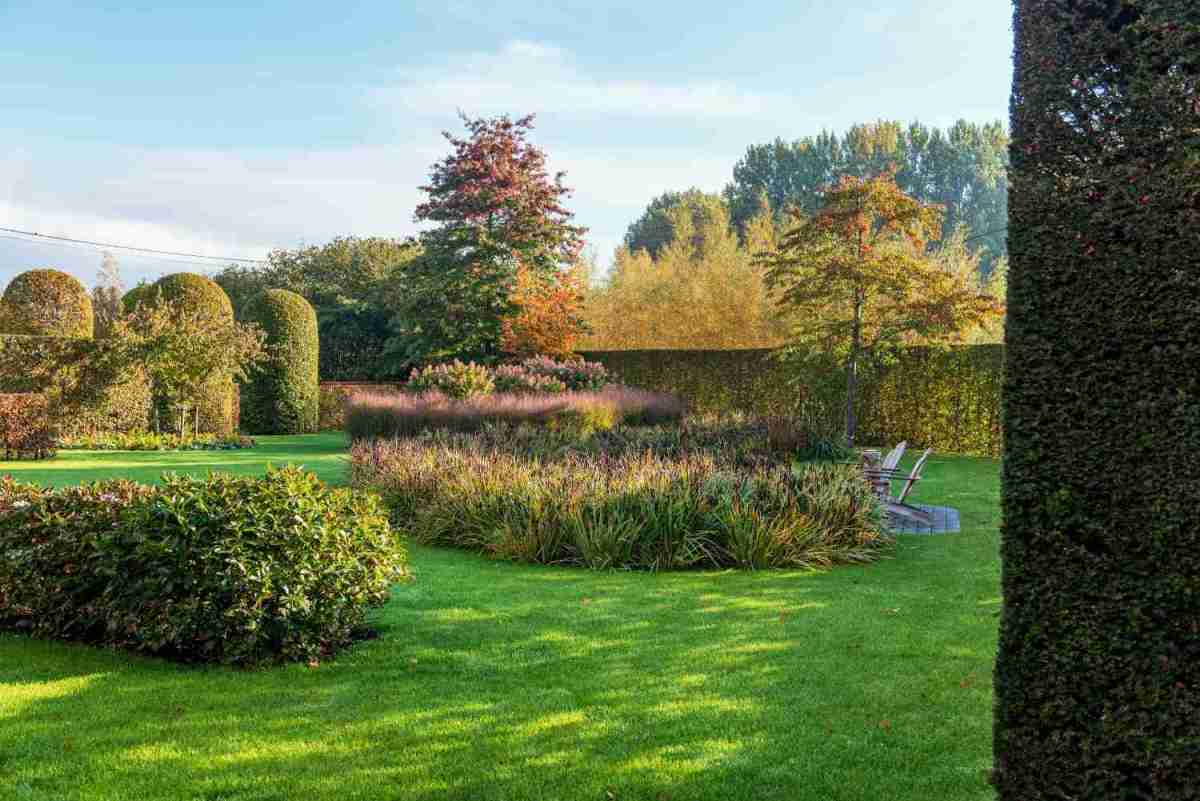 Garten Hochwertige Herbstpflege von CUXIN DCM bringt den Garten durch die kalte Jahreszeit - News, Bild 1