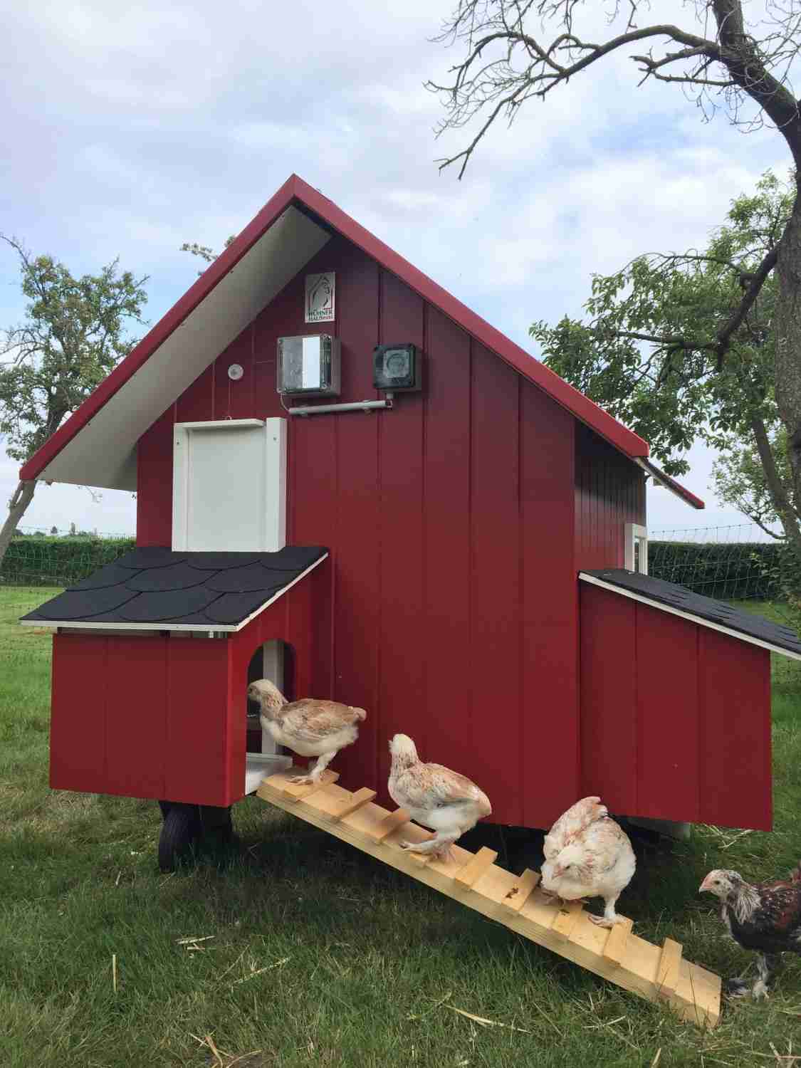 Garten Mobiles Hühnerhaus von HühnerHausMobil übernimmt Eierproduktion und Rasenpflege - News, Bild 1