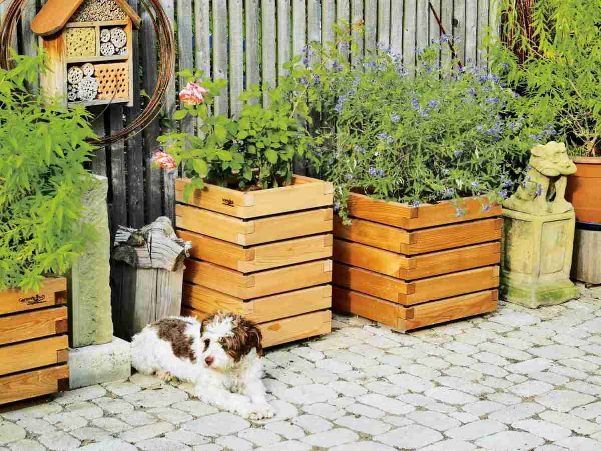Garten Ob Balkon oder Terrasse: Mit Kubio-Pflanzkästen von Gartenfrosch lässt sich ideal begrünen - News, Bild 1