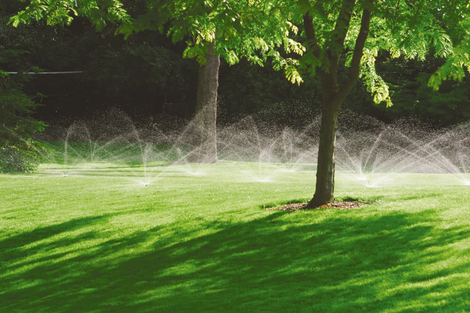 Garten Rasen wie in Wimbledon: Automatische Beregnungsanlagen - Steuerung per Smartphone, Bild 2 Garten Rasen wie in Wimbledon: Automatische Beregnungsanlagen - Steuerung per Smartphone - News, Bild 2