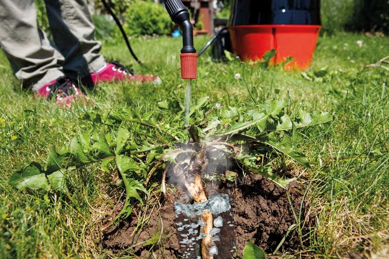 Garten Scheppach Therbio: Unkrautvernichtung im Garten – nur mit Heißwasser, ganz ohne Chemie - News, Bild 1