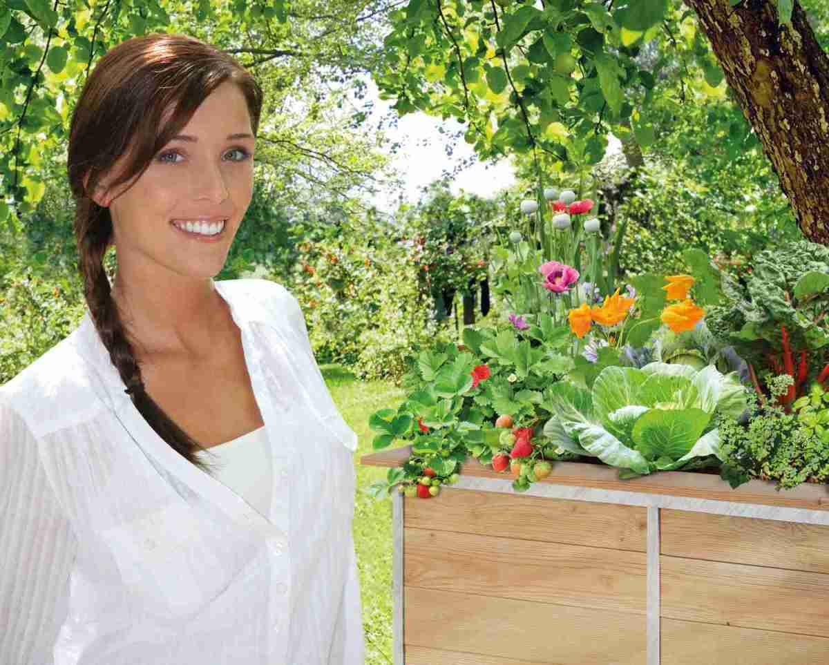 Garten Selbstangebautes Gemüse aus dem Hochbeet ist gesund und macht glücklich, Bild 1 Garten Selbstangebautes Gemüse aus dem Hochbeet ist gesund und macht glücklich - News, Bild 1