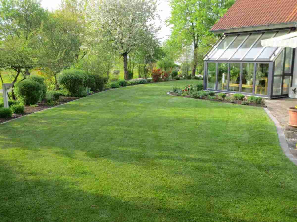 Garten Tipps für die professionelle Rasenpflege mit Schwab-Produkten - News, Bild 1