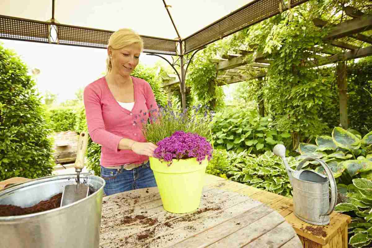 Garten Umweltfreundlich gärtnern mit dem umfangreichen Floragard-Sortiment - News, Bild 1
