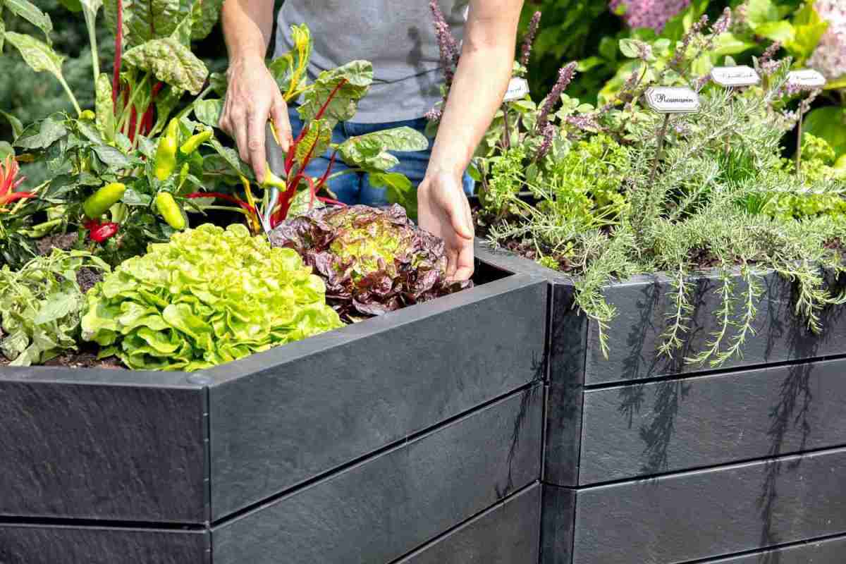 Garten Mit GARANTIA Ergo Hochbeet-System Stone Schieferoptik in den Garten bringen - News, Bild 2