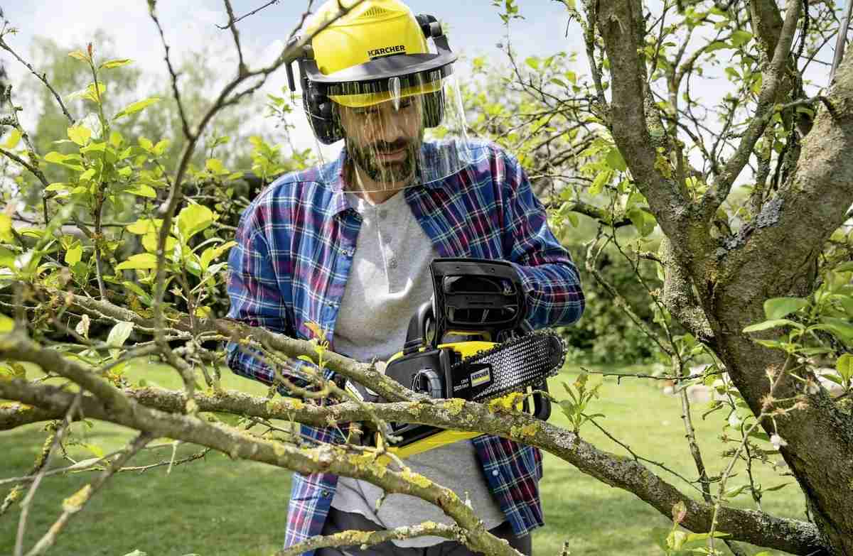 Garten Bäume richtig schneiden: Akkugeräte für einfaches und sicheres Ausästen - News, Bild 1