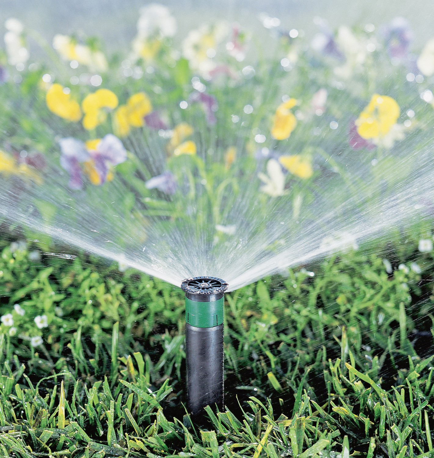 Produktvorstellung So wird auch der Garten smart: Bewässerungssysteme per App steuern, Bild 1 Produktvorstellung So wird auch der Garten smart: Bewässerungssysteme per App steuern - News, Bild 1