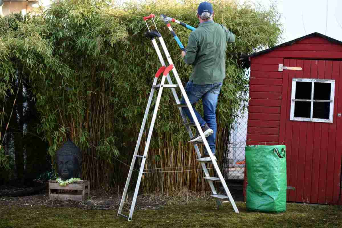Marke: Frage und Antwort des Tages: Was zeichnet eine sichere Trittleiter aus?, Bild 1 Ratgeber Frage und Antwort des Tages: Was zeichnet eine sichere Trittleiter aus? - News, Bild 1