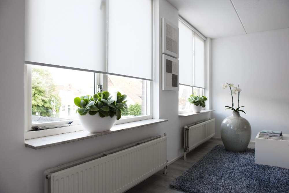 Rund ums Haus Rollos nach Maß: Sinnvoll oder nur eine Frage der Optik?, Bild 1 Rund ums Haus Rollos nach Maß: Sinnvoll oder nur eine Frage der Optik? - News, Bild 1