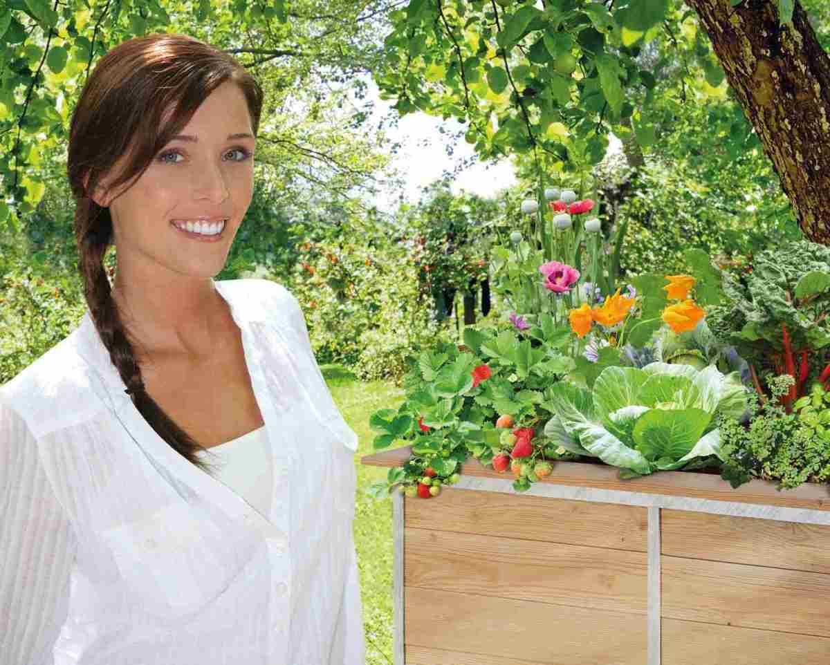 Rund ums Haus Selbst angebautes Gemüse aus dem Hochbeet, Bild 1 Rund ums Haus Selbst angebautes Gemüse aus dem Hochbeet - News, Bild 1