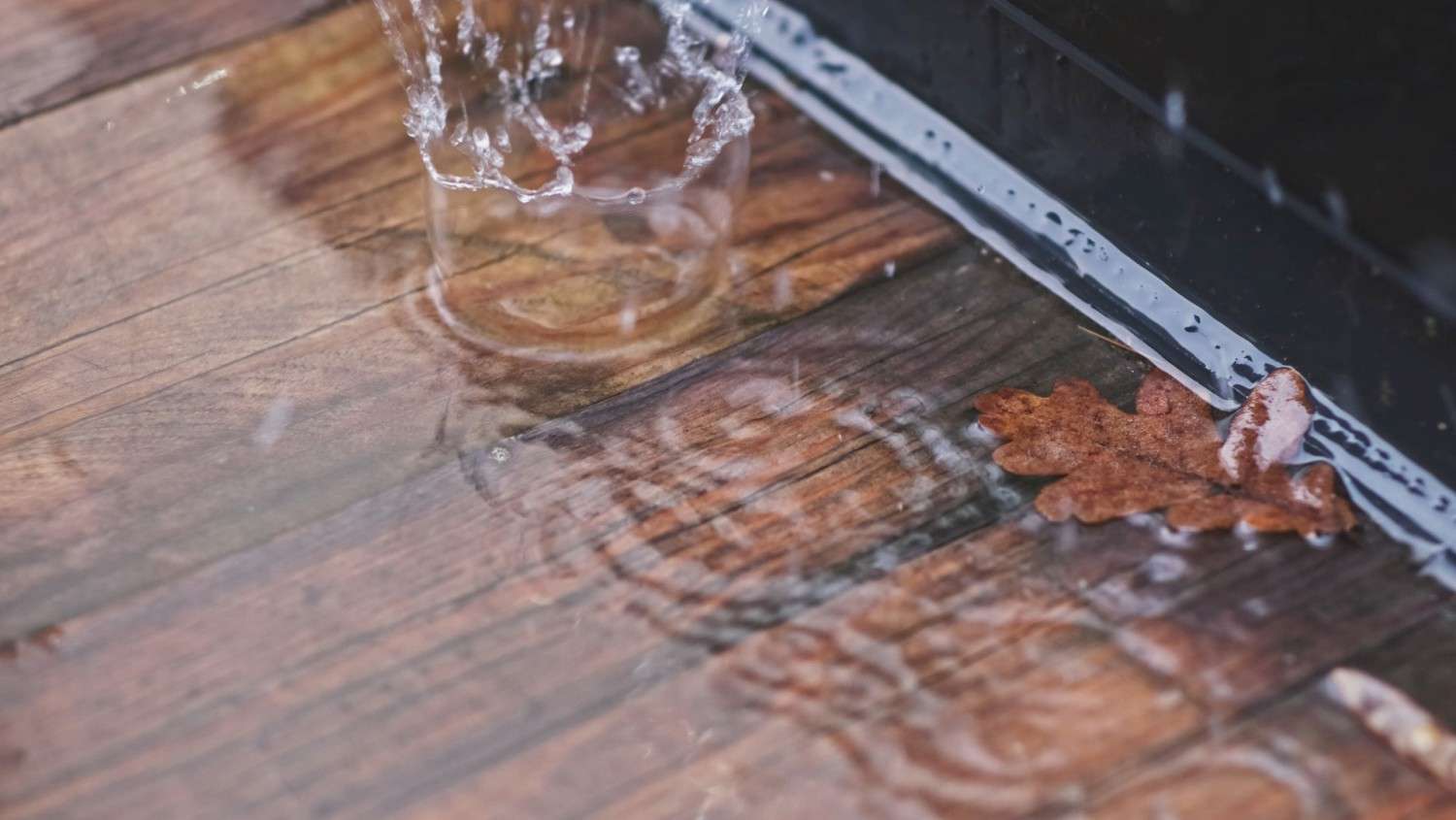 Rund ums Haus So trotzen Türen und Fenster auch Starkregen und Hochwasser - News, Bild 1