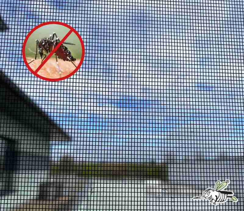 Marke: Wohnen ohne Krabbeltiere und Niesattacken – Insekten- und Pollenschutz-Systeme verwehren unerwünschten Gästen den Zutritt, Bild 1 Rund ums Haus Wohnen ohne Krabbeltiere und Niesattacken – Insekten- und Pollenschutz-Systeme verwehren unerwünschten Gästen den Zutritt - News, Bild 1