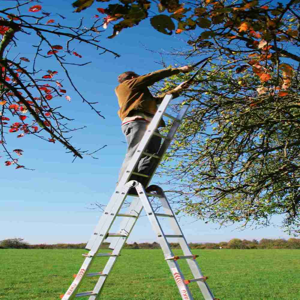 Garten Bequem ernten - Variable Teleskopleitern aus Aluminium sind bei der Gartenarbeit unentbehrlich - News, Bild 1