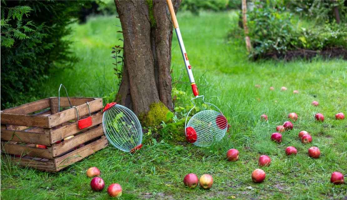 Gartengeräte Flexibler Obstsammler von WOLF-Garden - News, Bild 2