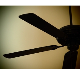 Arbeitsschutz Cool bleiben: die besten Strategien gegen die Hitze in den eigenen vier Wänden - News, Bild 1