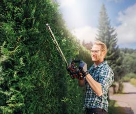 Garten Für den perfekten Garten: Ab sofort können Sie wieder loslegen - News, Bild 1