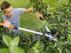 Fiskars Die neuen Astscheren mit 3 x mehr Schneidkraft: Fiskars PowerGearX™, Bild 1 Garten Die neuen Astscheren mit 3 x mehr Schneidkraft: Fiskars PowerGearX™ - News, Bild 1