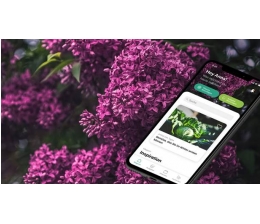 Garten Gartenfans bekommen von Gardena eine App als digitalen Helfer - News, Bild 1