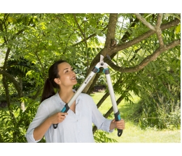 Gardena Mit Gardena Hecken in Form bringen, Bild 1 Gartenwerkzeuge Mit Gardena Hecken in Form bringen - News, Bild 1
