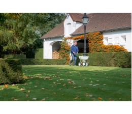 Garten Gepflegten Rasen fürs Frühjahr vorbereiten – mit angepasster Herbstdüngung von CUXIN DCM durch den Winter, Bild 1 Garten Gepflegten Rasen fürs Frühjahr vorbereiten – mit angepasster Herbstdüngung von CUXIN DCM durch den Winter - News, Bild 1