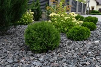 Garten Kiesgarten anlegen: So entsteht ein gelungener Mix aus Blütenpracht und Steingarten - News, Bild 1