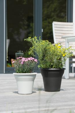Garten MOVE von Ebertsankey: Ein Pflanzgefäß für alle Fälle, Bild 1 Garten MOVE von Ebertsankey: Ein Pflanzgefäß für alle Fälle - News, Bild 1