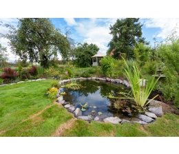 Garten Pool- & Teichsanierung in Eigenregie: So gelingt die Versiegelung mit Epoxidharz und 2K-PU-Lack - News, Bild 1