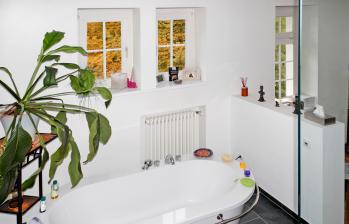 Rund ums Haus Atmungsaktive Kalkfarbe verspricht ein besseres Raumklima - News, Bild 1