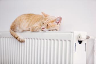 Rund ums Haus Ganz leicht den Energieverbrauch senken durch den Austausch veralteter Heizkörperthermostatventile, Bild 1 Rund ums Haus Ganz leicht den Energieverbrauch senken durch den Austausch veralteter Heizkörperthermostatventile - News, Bild 1