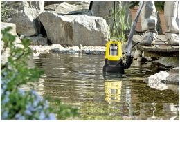 Rund ums Haus Jetzt Gartenteich fit machen, Bild 1 Rund ums Haus Jetzt Gartenteich fit machen - News, Bild 1