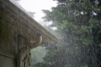 Rund ums Haus Schutz vor Wasserschaden: So reinigen Sie Regenrinnen richtig  - News, Bild 1
