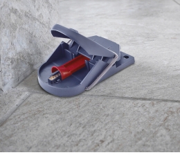 Rund ums Haus SuperCat Mausefalle Pro, Bild 1 Rund ums Haus SuperCat Mausefalle Pro - News, Bild 1
