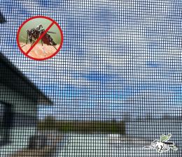 Rund ums Haus Wohnen ohne Krabbeltiere und Niesattacken – Insekten- und Pollenschutz-Systeme verwehren unerwünschten Gästen den Zutritt - News, Bild 1