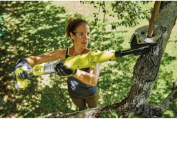 Gartengeräte Baumschnitt mit Akkukraft und ohne Leiter - News, Bild 1
