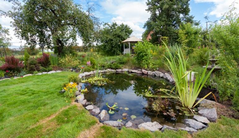 Garten Pool- & Teichsanierung in Eigenregie: So gelingt die Versiegelung mit Epoxidharz und 2K-PU-Lack - News, Bild 1