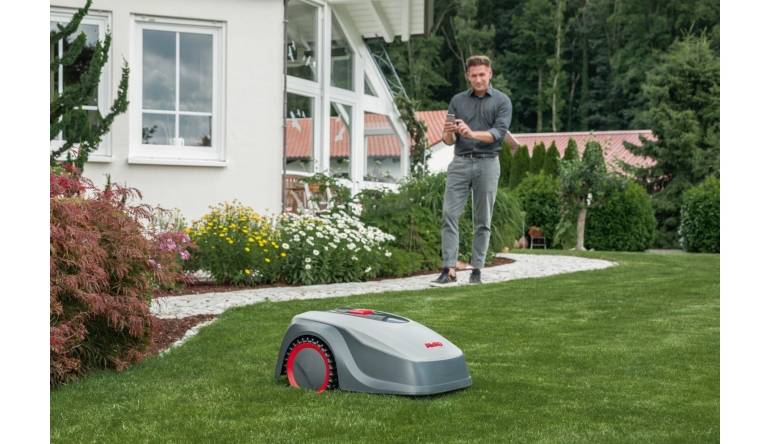 Service AL-KO Mähroboter der Robolinho® im Smart Garden - News, Bild 1