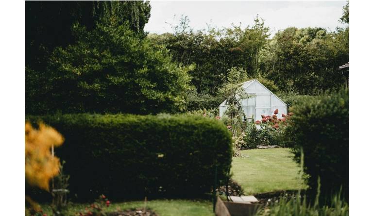 Service Sichtschutz zum Selbermachen: Welche Hecken für Heimwerker wirklich pflegeleicht sind - News, Bild 1