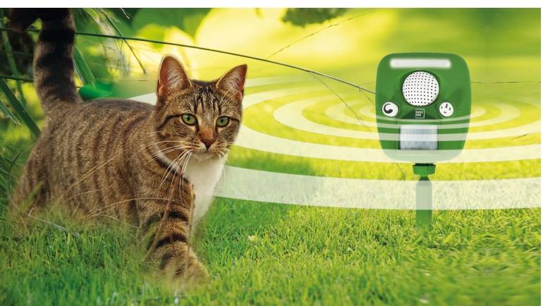 Swissinno Swissinno Solar Ultraschall Tiervertreiber Pro, Bild 1 Service Swissinno Solar Ultraschall Tiervertreiber Pro - News, Bild 1