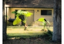 Service Modernisierung des Eigenheims: Intelligente Technologien für Haus und Garten - News, Bild 1