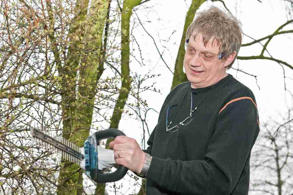 Vergleichstest: 8 Akku-Heckenscheren im Vergleich, Bild 4 Heckenscheren: 8 Akku-Heckenscheren im Vergleich, Bild 4