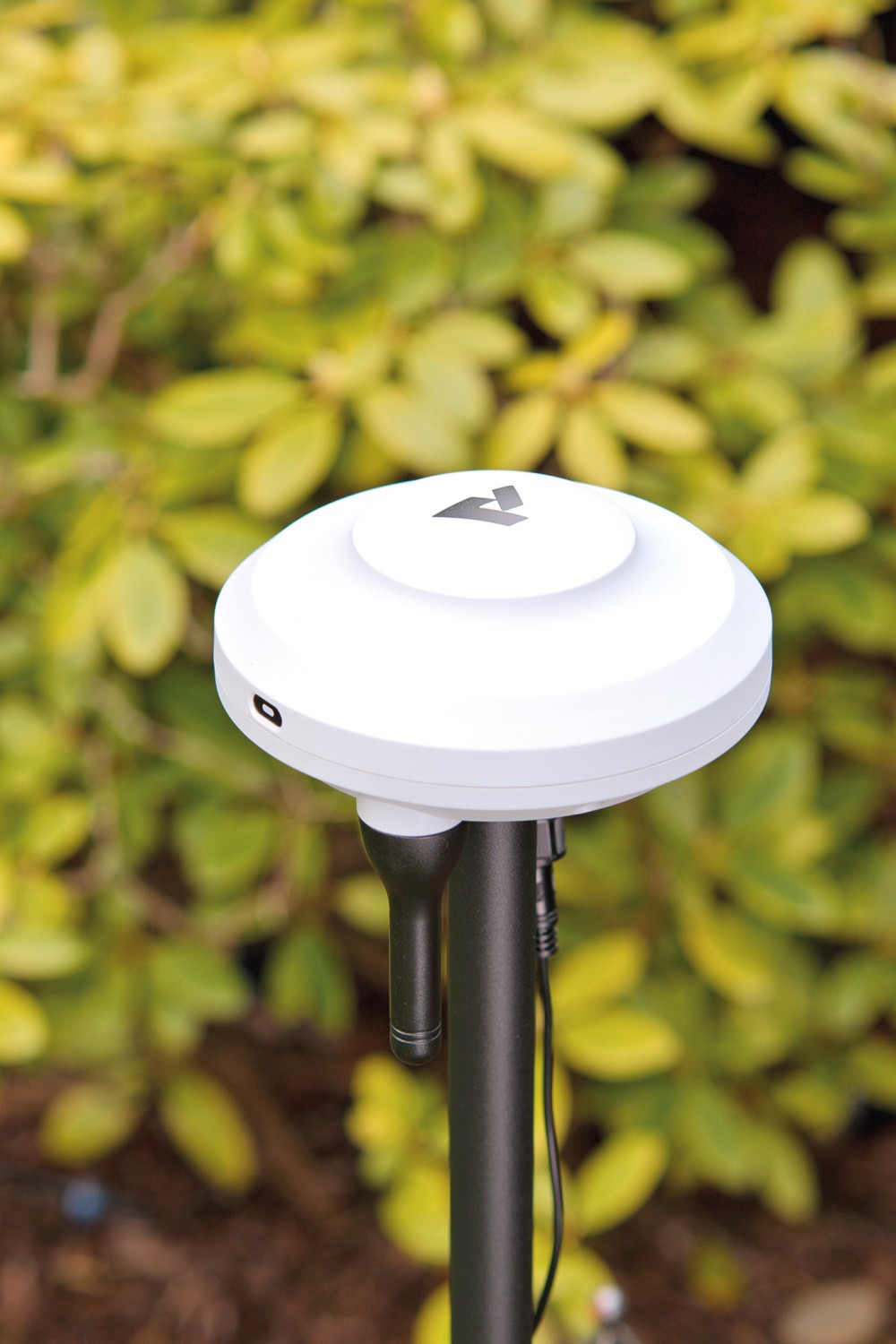 Rasenmähroboter M5 von Anthbot: Anthbot M5, Bild 7 Roboter-Rasenmäher Anthbot M5 im Test, Bild 7