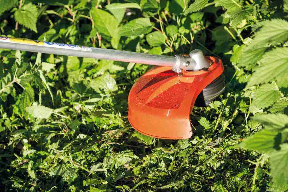 DPAS-300AL von Echo, Multitool für den Garten: Echo Akku-Kombisystem DPAS-300AL, Bild 1 Multigeräte Akku Echo Akku-Kombisystem DPAS-300AL im Test, Bild 1
