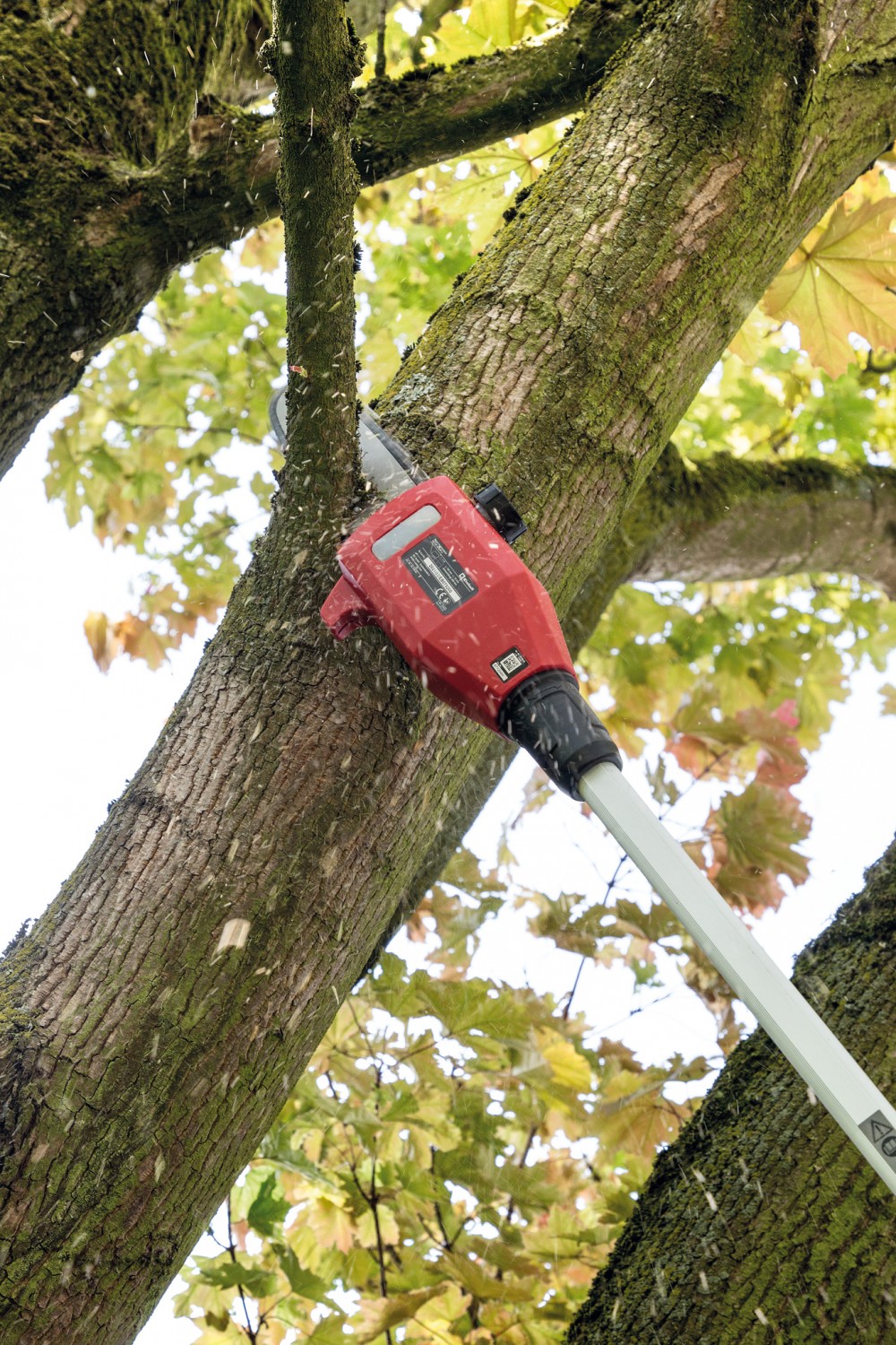 Sonstige Gartengeräte: Fünf Akku-Garten-Multitools im Test, Bild 2