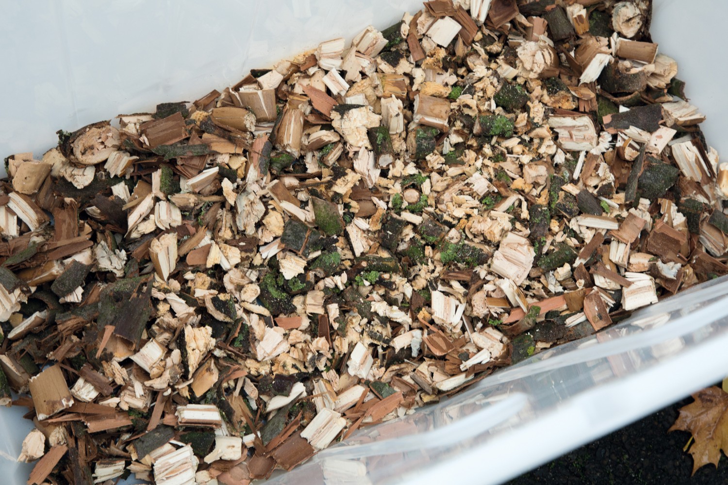 Astwerk schnell zerkleinert: FUXTEC FX-EGH2800B, Bild 4 Garten-Häcksler FUXTEC FX-EGH2800B im Test, Bild 4